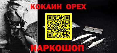 крисы Моздок