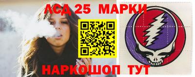 крисы Моздок