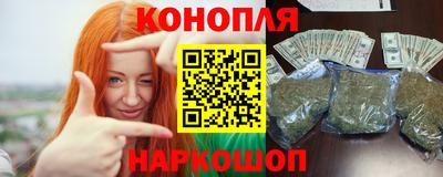 крисы Моздок