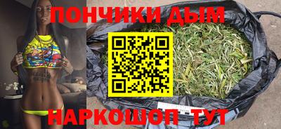 крисы Моздок