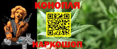 крисы Моздок