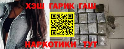 крисы Моздок