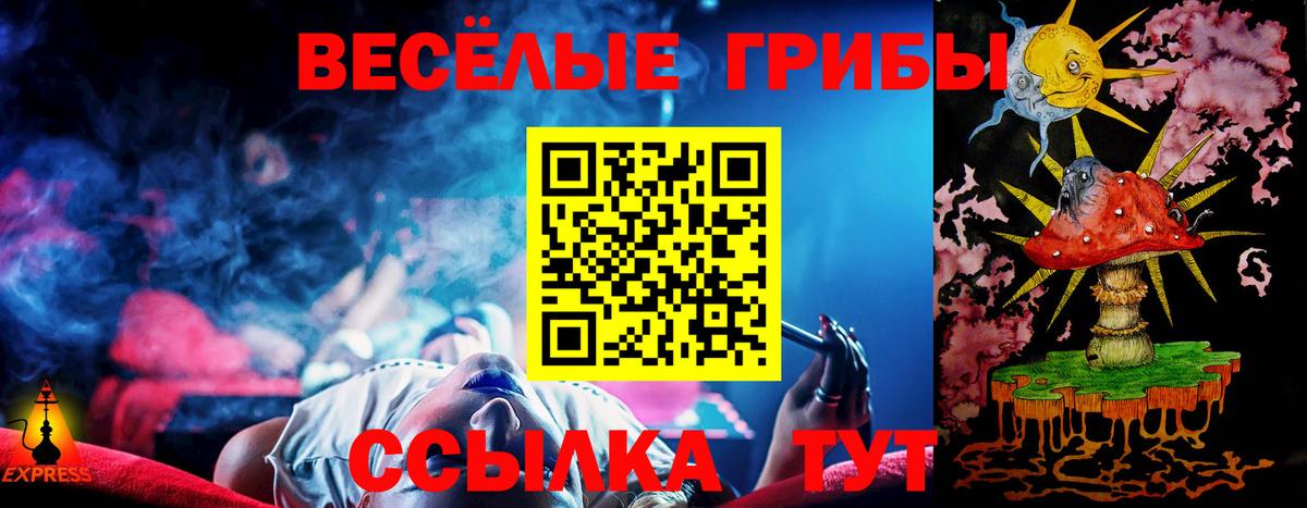 Галлюциногенные грибы Cubensis Алатырь