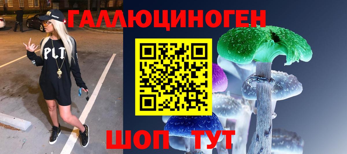 Псилоцибиновые грибы мицелий  Вход с VPN  Алатырь 